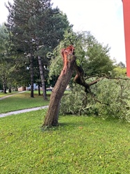 Sinočnje neurje z malo nevšečnosti v Dravski in Mislinjski dolini