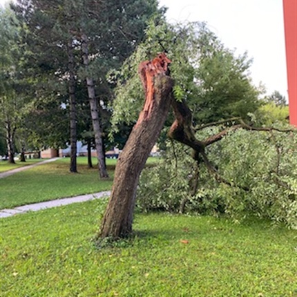 Sinočnje neurje z malo nevšečnosti v Dravski in Mislinjski dolini