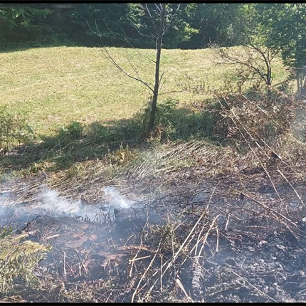 Požarna ogroženost na Koroškem narašča, prepoved uporabe odprtega ognja.
