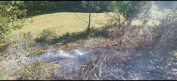 Požarna ogroženost na Koroškem narašča, prepoved uporabe odprtega ognja.