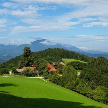 Koroška posebej primerna za ekološko kmetovanje