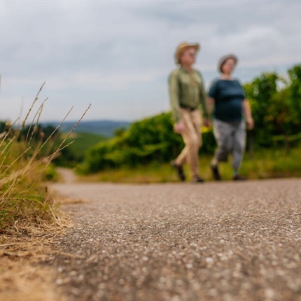 Korošci bomo na Dan slovenskega športa skupaj nabirali kilometre
