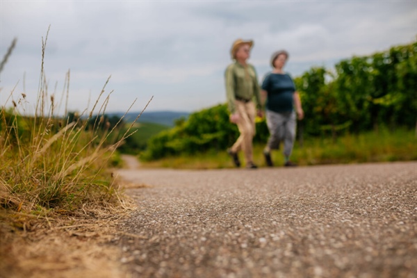 Korošci bomo na Dan slovenskega športa skupaj nabirali kilometre