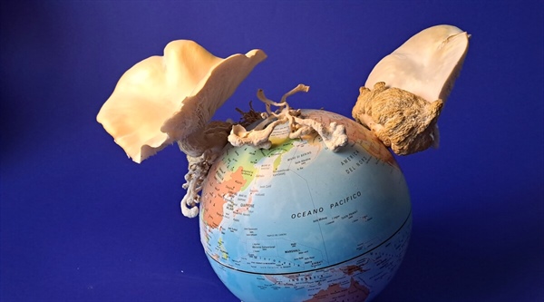 Nove geografije o nevarnostih porušenega naravnega ravnovesja