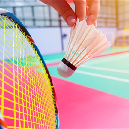Mednarodni badmintonski spektakel s koroškimi aduti