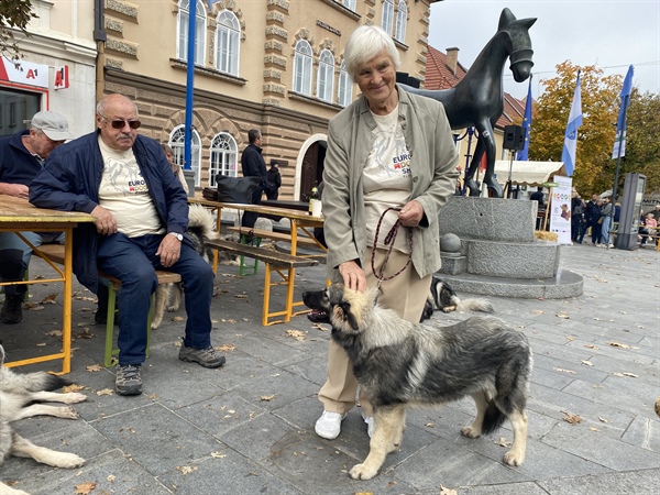 Sladki krompir za slane in sladke jedi
